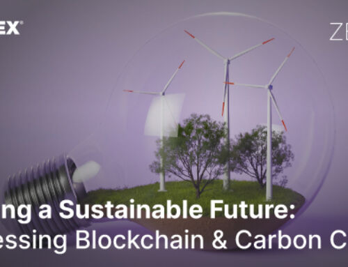 Building a Sustainable Future: Harnessing Blockchain and Carbon Credits