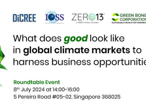 What does good look like in global climate markets?