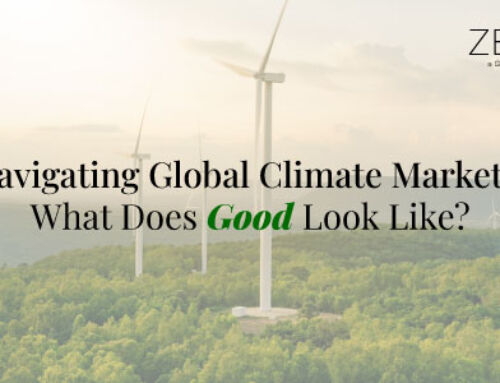 Navigating Global Climate Markets: What Does Good Look Like?