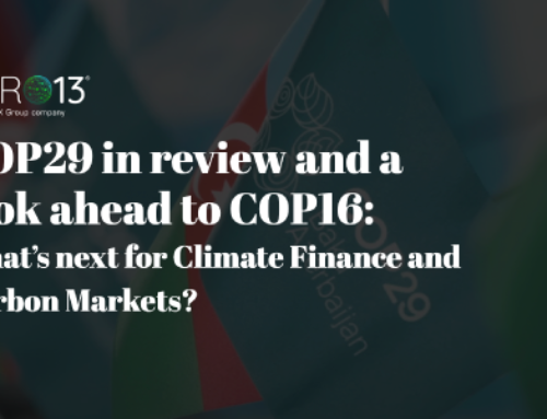 COP29 in review and a look ahead to COP16: What’s next for Climate Finance and Carbon Markets?