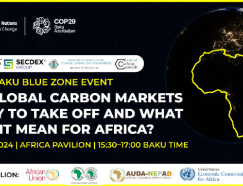 Are global carbon markets ready to take off and what does it mean for Africa?