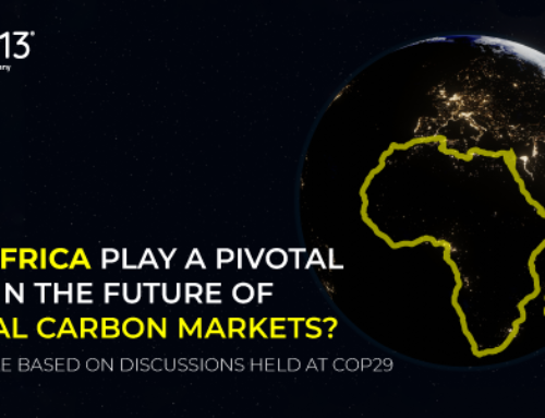 Can Africa Play a Vital Role in the Future of Carbon Markets?