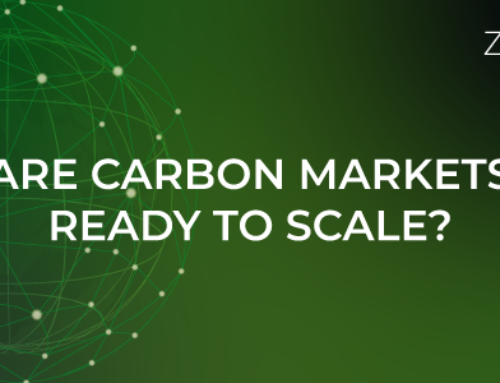 Are carbon markets ready to scale?