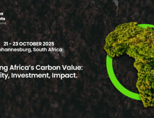 Carbon Markets Africa Summit