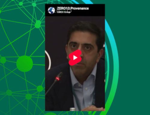 ZERO13: Provenance – YouTube short